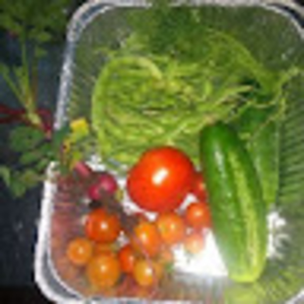 Meet your Posher, Lisa